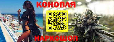 гашик Лесосибирск