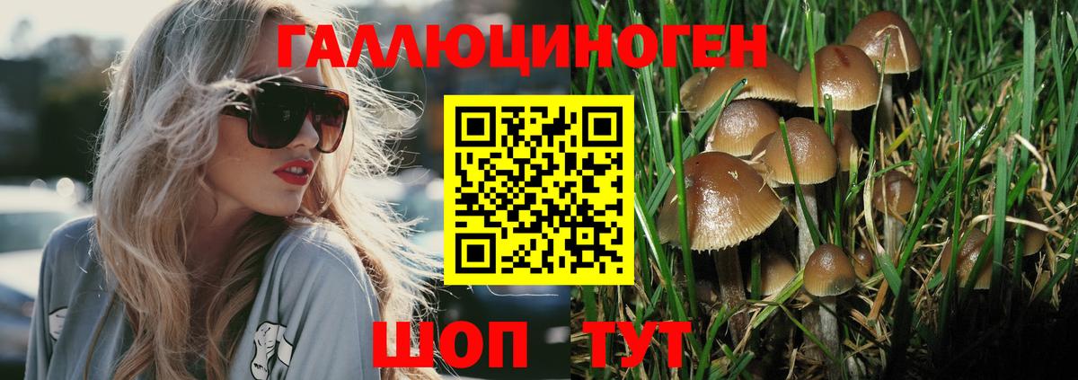Галлюциногенные грибы ЛСД  Псилоцибиновые грибы GOLDEN TEACHER  Будённовск  Вход с VPN 